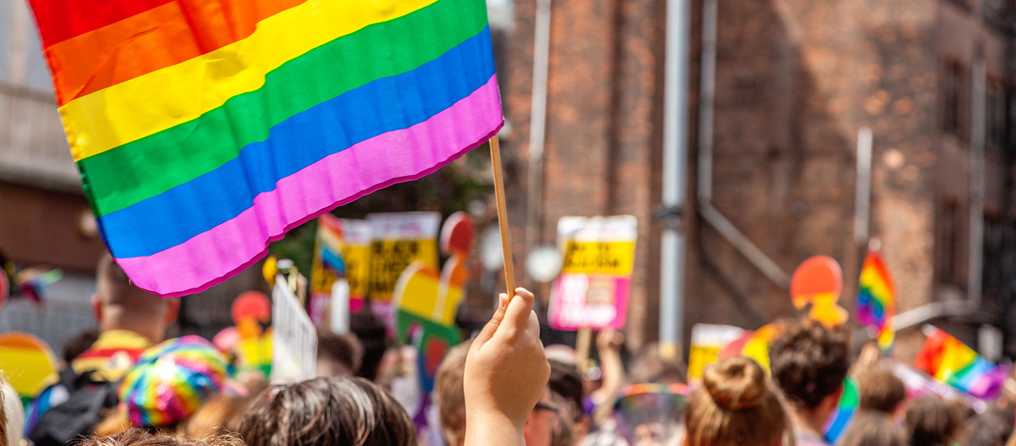 rent a tree for a pride parade